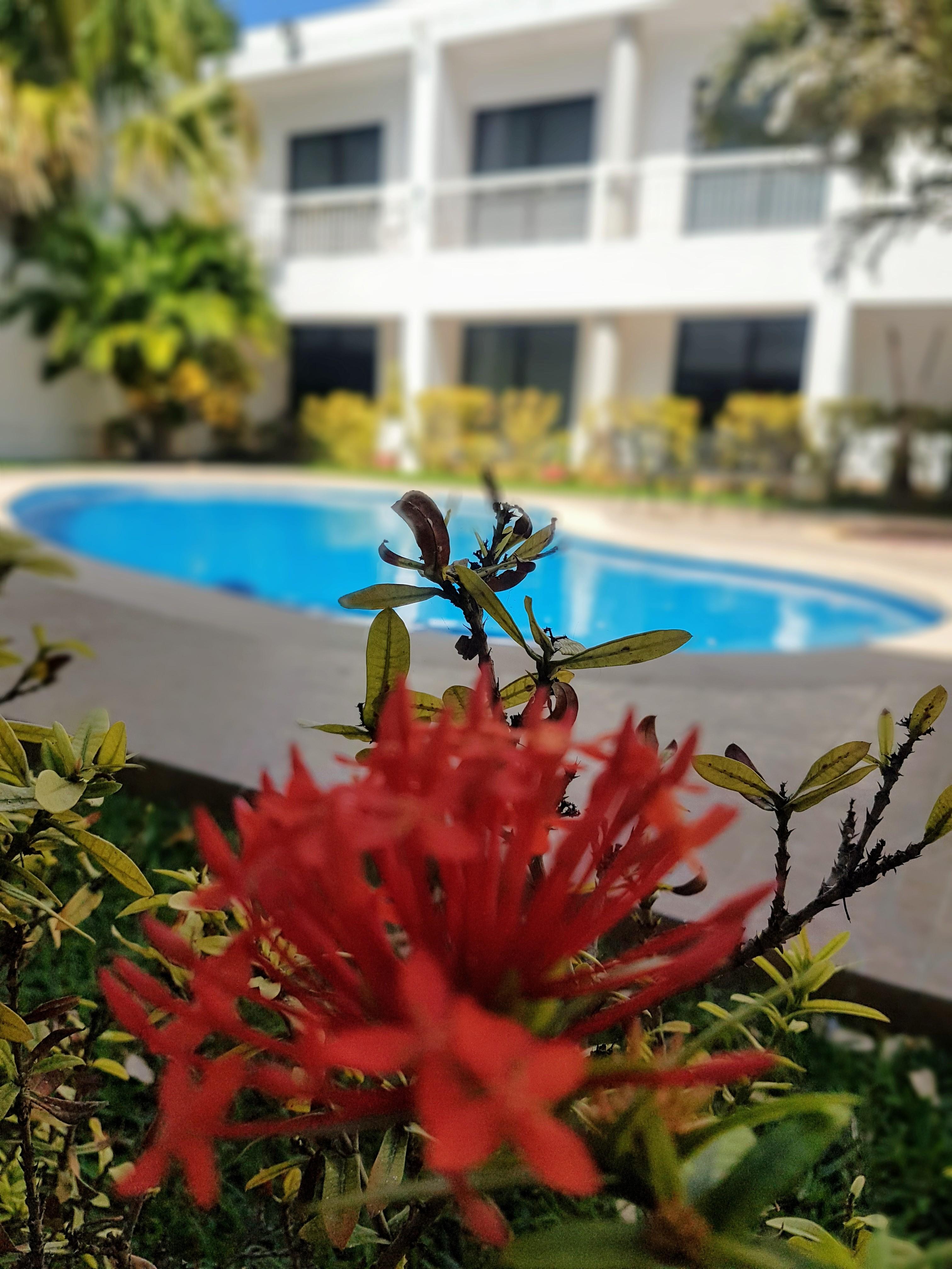 Hotel Holly Mérida Εξωτερικό φωτογραφία