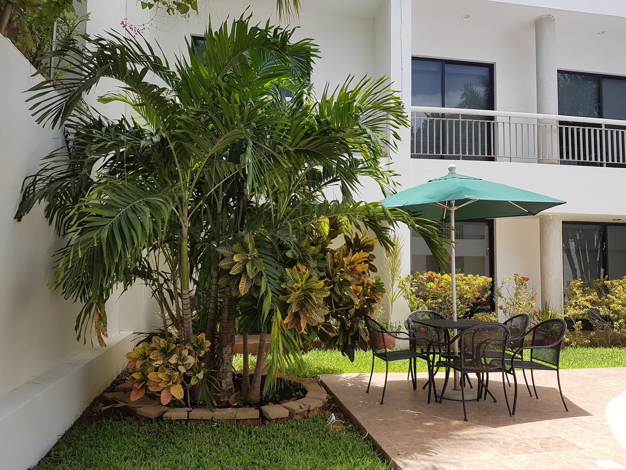Hotel Holly Mérida Εξωτερικό φωτογραφία
